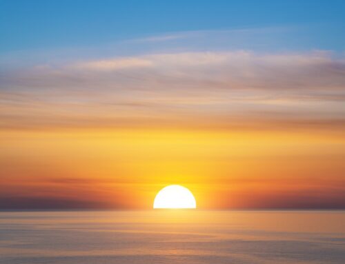 Life After Bankruptcy in New Jersey: What Happens Next and How to Move Forward